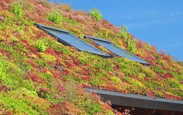 Leaton Heath living roof systems