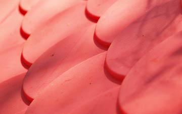 Leaton Heath plastic roof costs