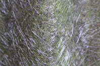 Leaton Heath fibreglass roof work